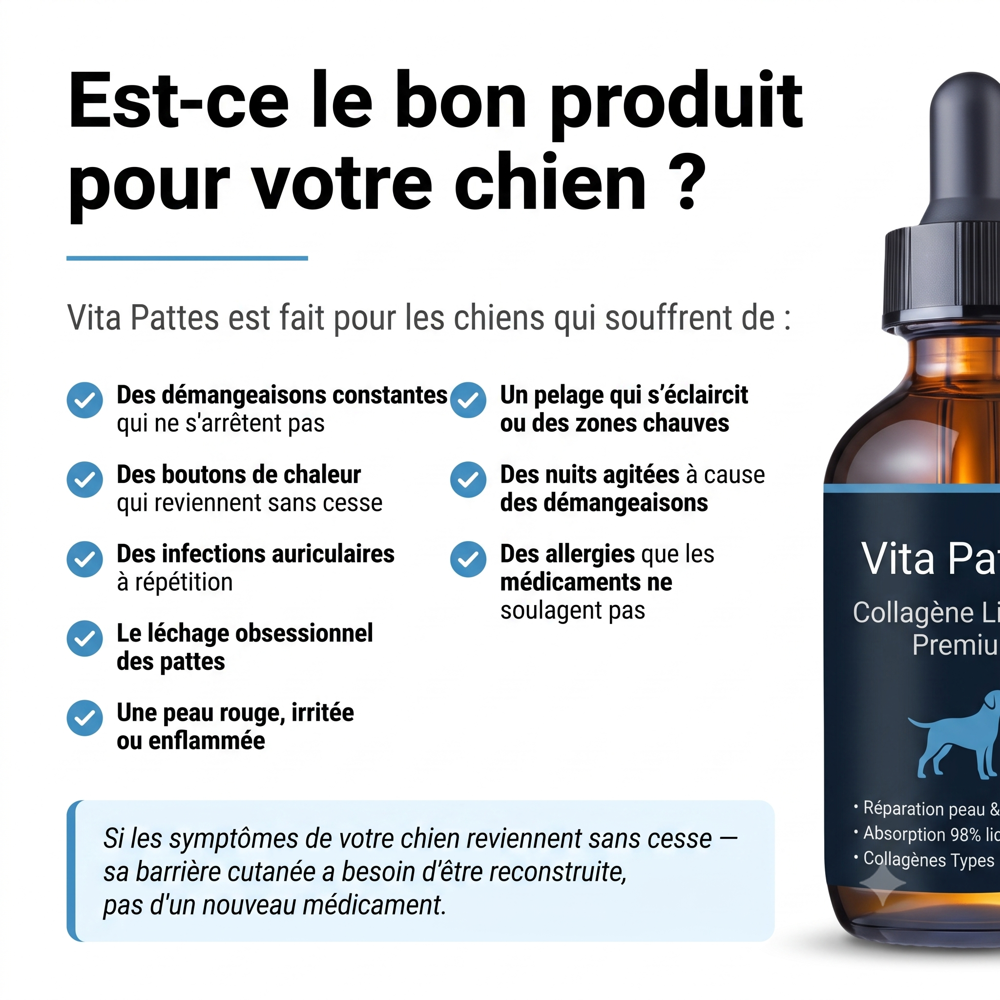 Vita Pattes Collagène