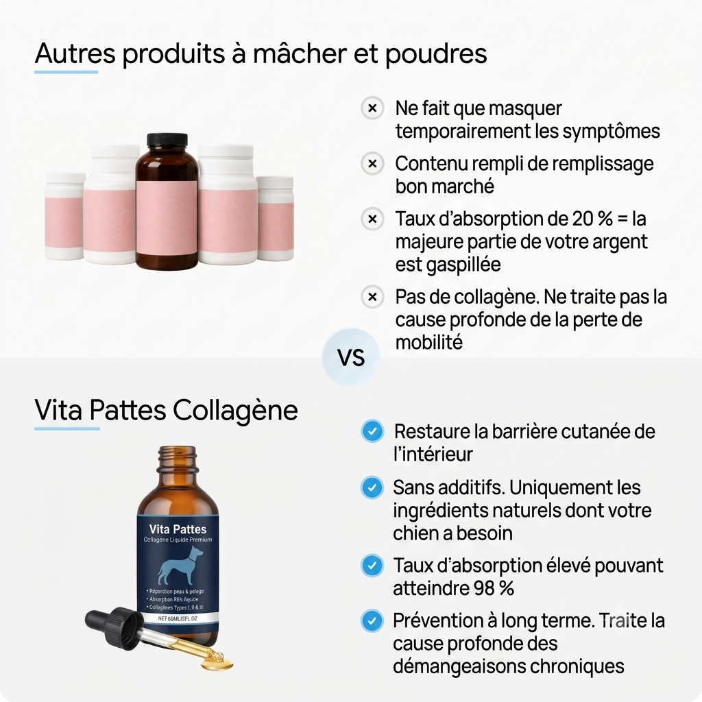 Comparatif : autres compléments vs Vita Pattes