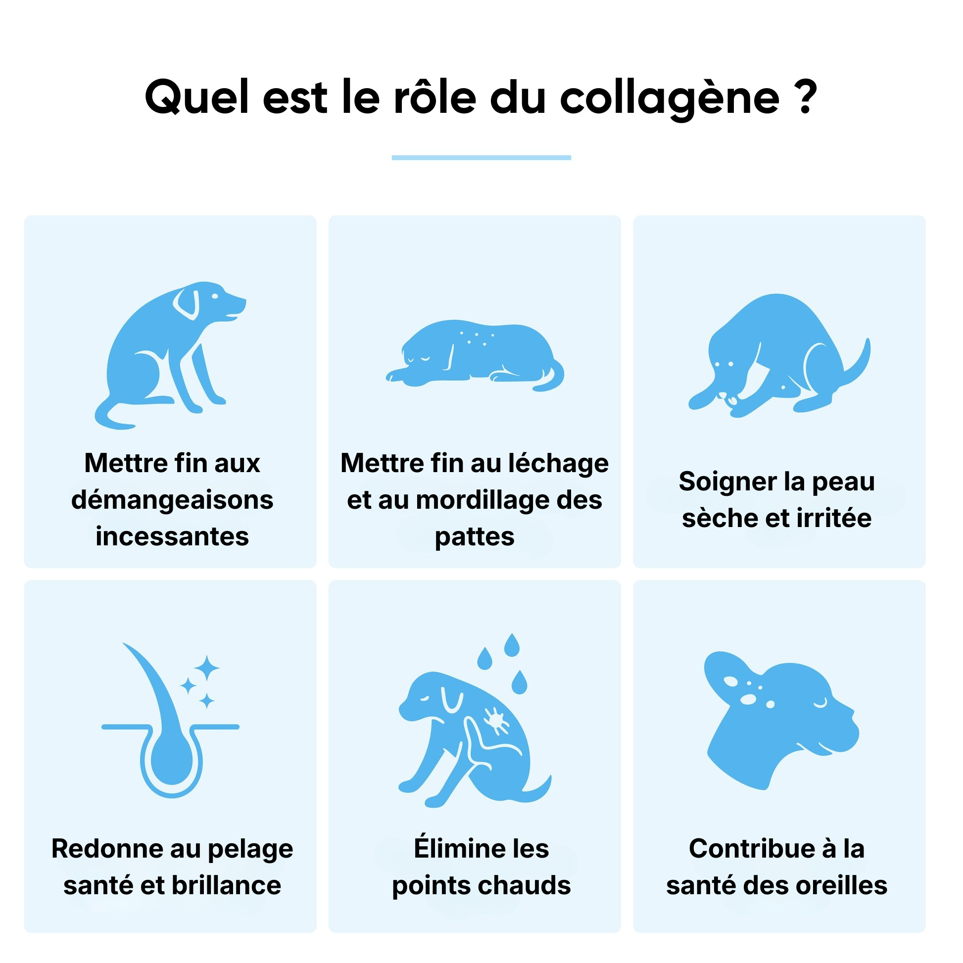 Vita Pattes Collagène